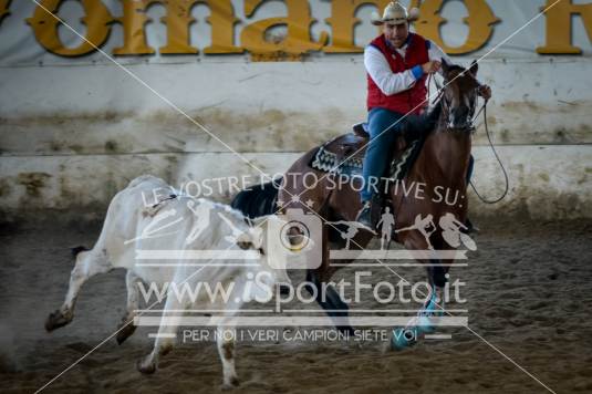 campionato italiano AIQH finale