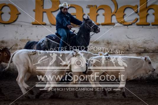 campionato italiano AIQH finale