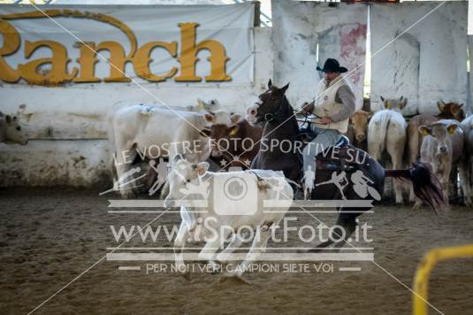 campionato italiano AIQH finale