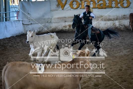 campionato italiano AIQH finale