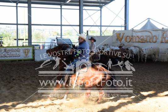 Campionato Italiano AIQH