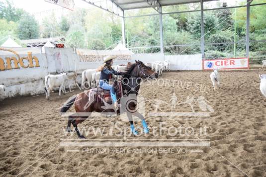 Campionato Italiano Team Penning - AIQH