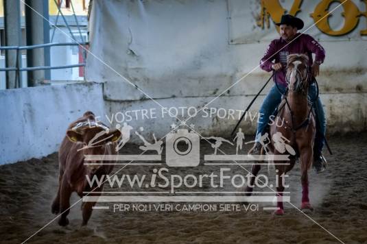 campionato italiano AIQH finale