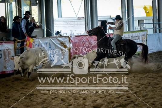 campionato italiano AIQH finale