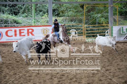 Campionato Italiano Team Penning - AIQH