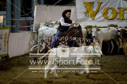 campionato italiano AIQH finale