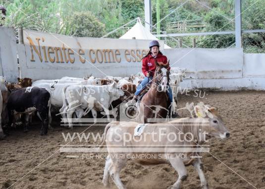 Campionato Italiano Team Penning - AIQH