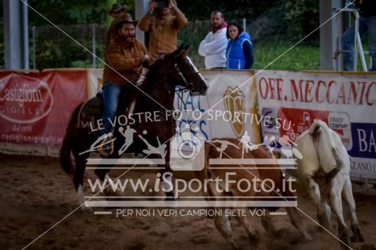 campionato italiano AIQH finale