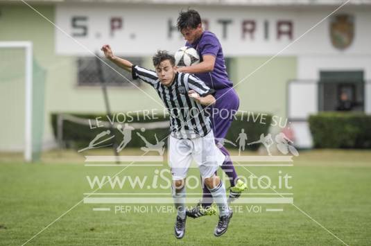 Fiorentina - Ascoli Picchio