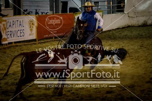 campionato italiano AIQH finale