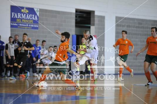 Fenice veneziamestre vs Carlisport Cogianco