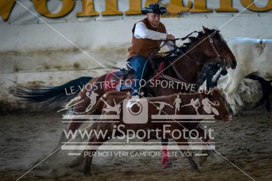 campionato italiano AIQH finale