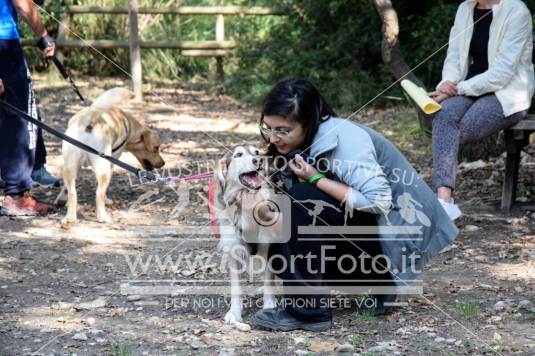 Campionato Italiano CaniCross