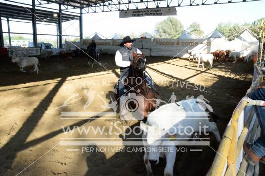 Campionato Italiano AIQH